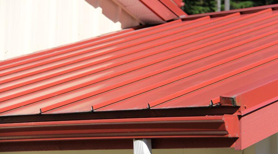 Professional gutter cleaning services in Thomson, IL